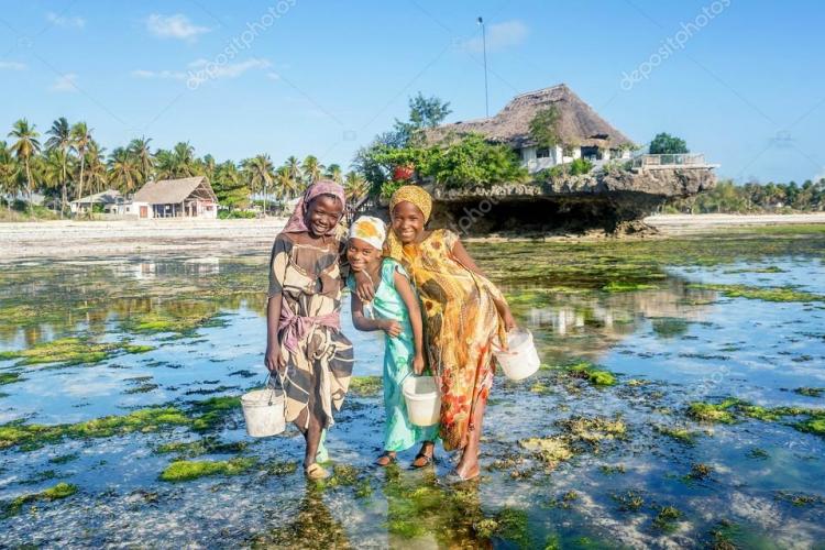 casamance 