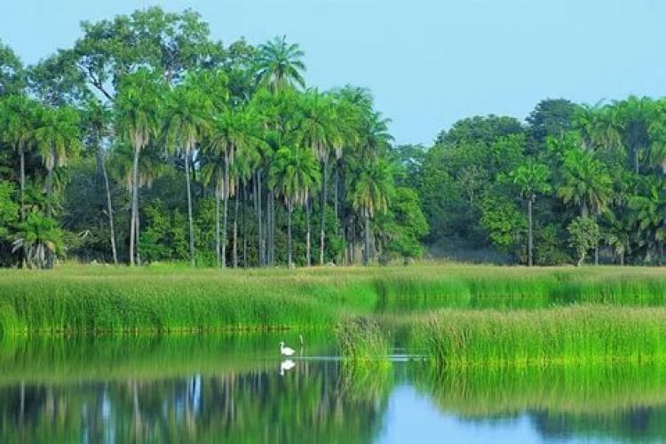 la verdure casamancaise